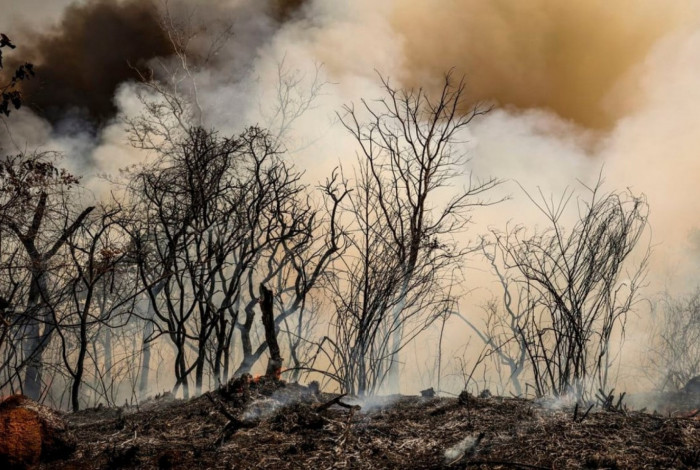 Incêndio na Floresta Nacional de Brasília começou na terça-feira
