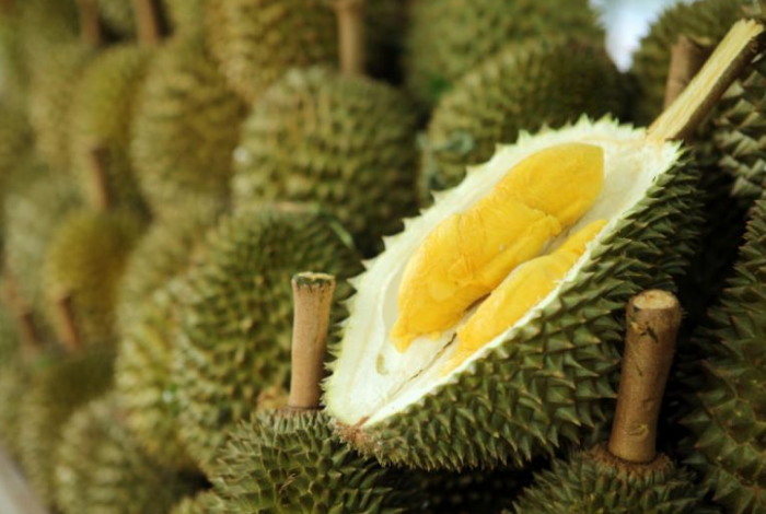 Durian, a fruta mais fedida do mundo